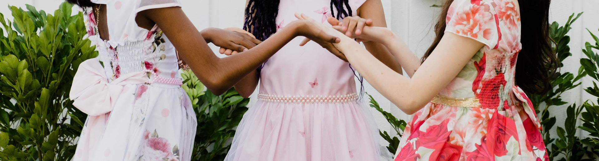 Charlotte Collection