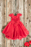 Agatha Dress