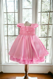 Eloise Dress